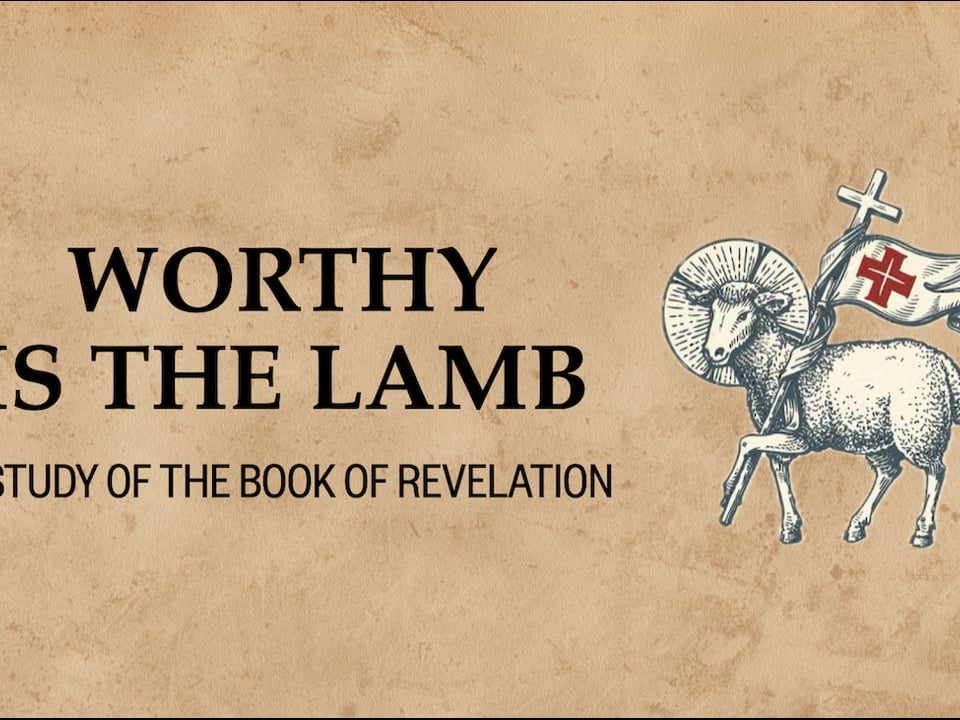 The-Wrath-of-the-Lamb-Revelation-69-17